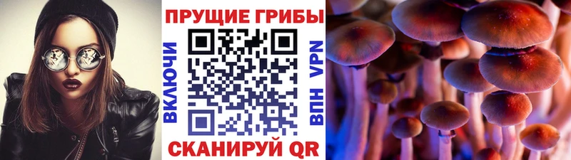 Псилоцибиновые грибы Magic Shrooms  Тотьма 